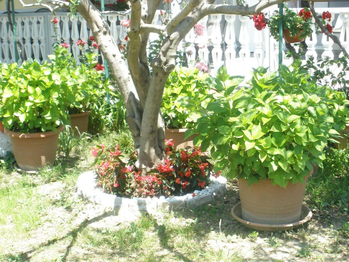 Apartmani I Sobe Mara Palit Luaran gambar
